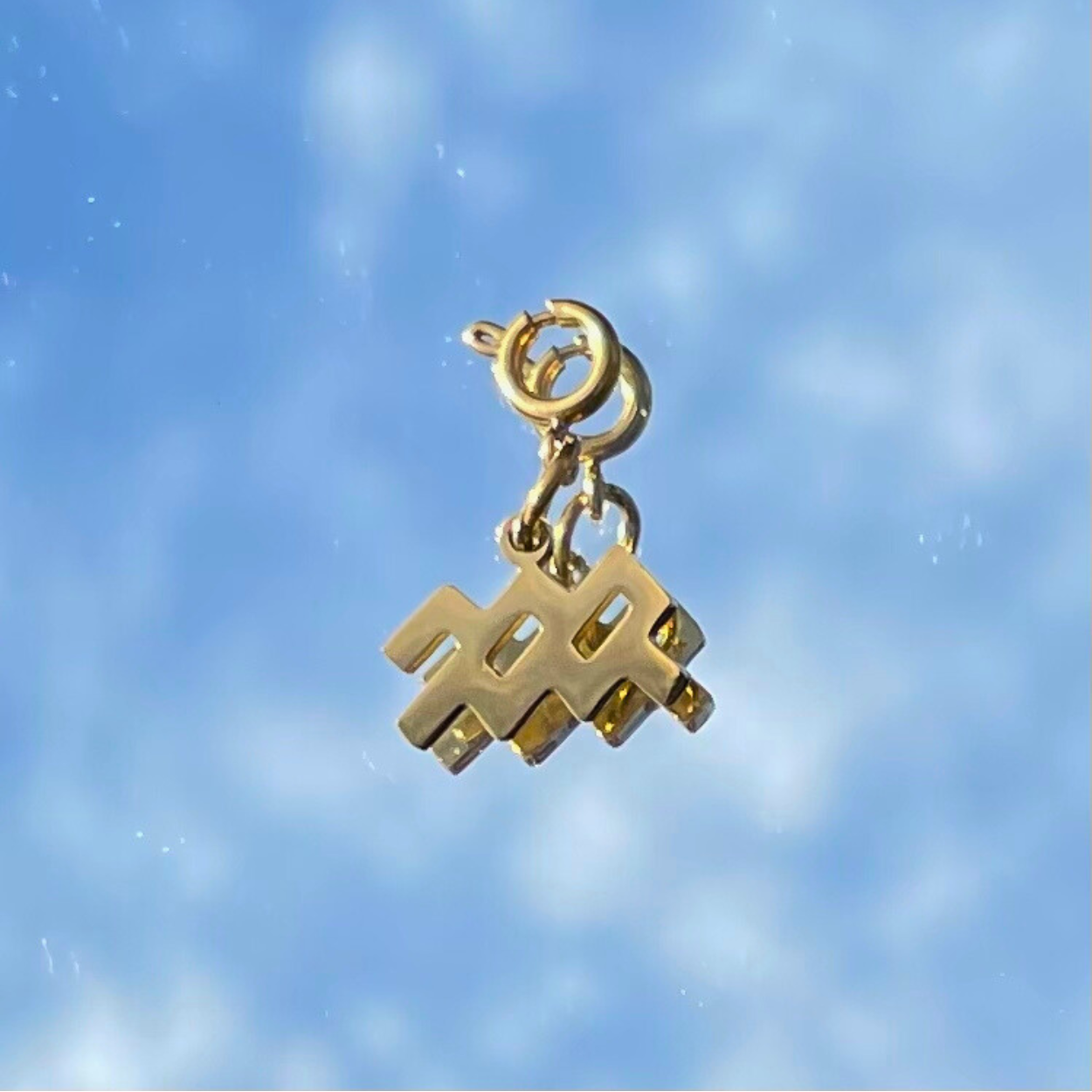 Aquarius Zodiac Charm