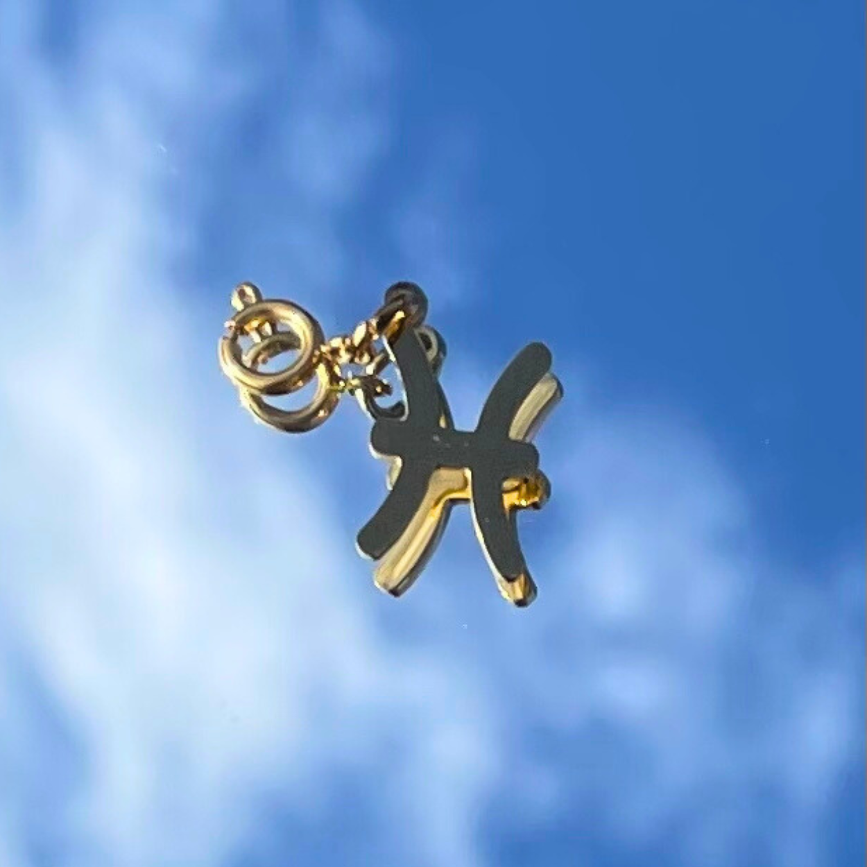 Pisces Zodiac Charm