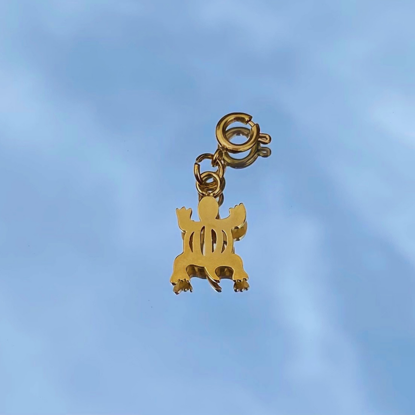 Denkyem Adinkra Charm