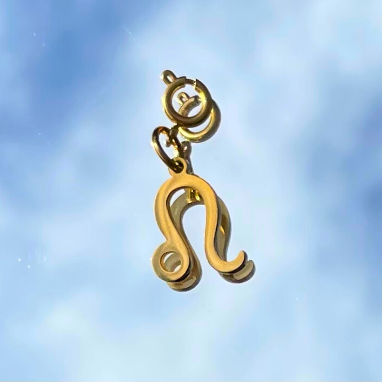 Leo Zodiac Charm