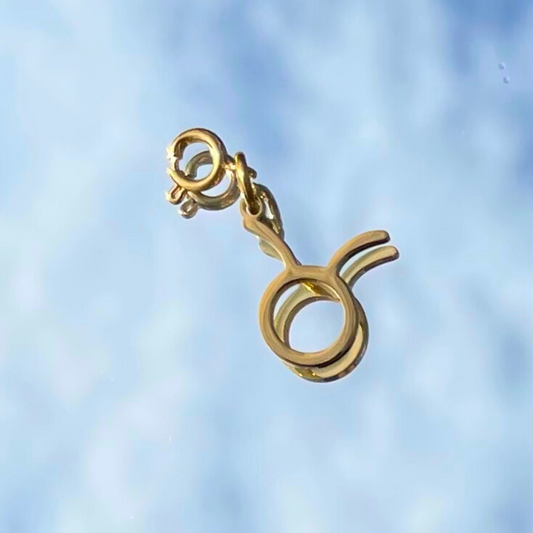 Taurus Zodiac Charm